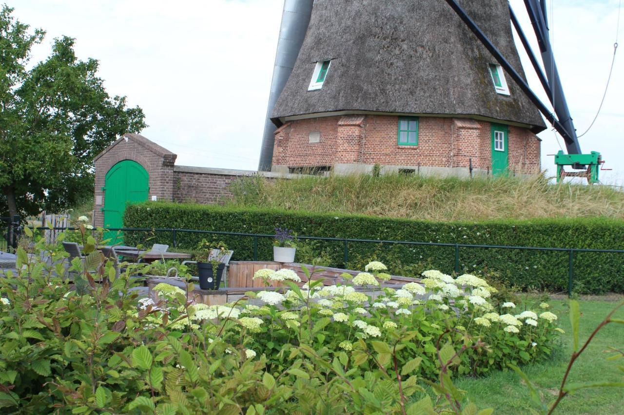 Bij Molen De Blazekop, Rustig En Landelijk Ovezande Экстерьер фото